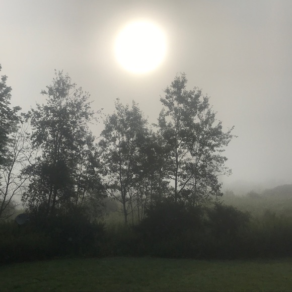 Meet your Posher, Laura - Picture 2 of 5